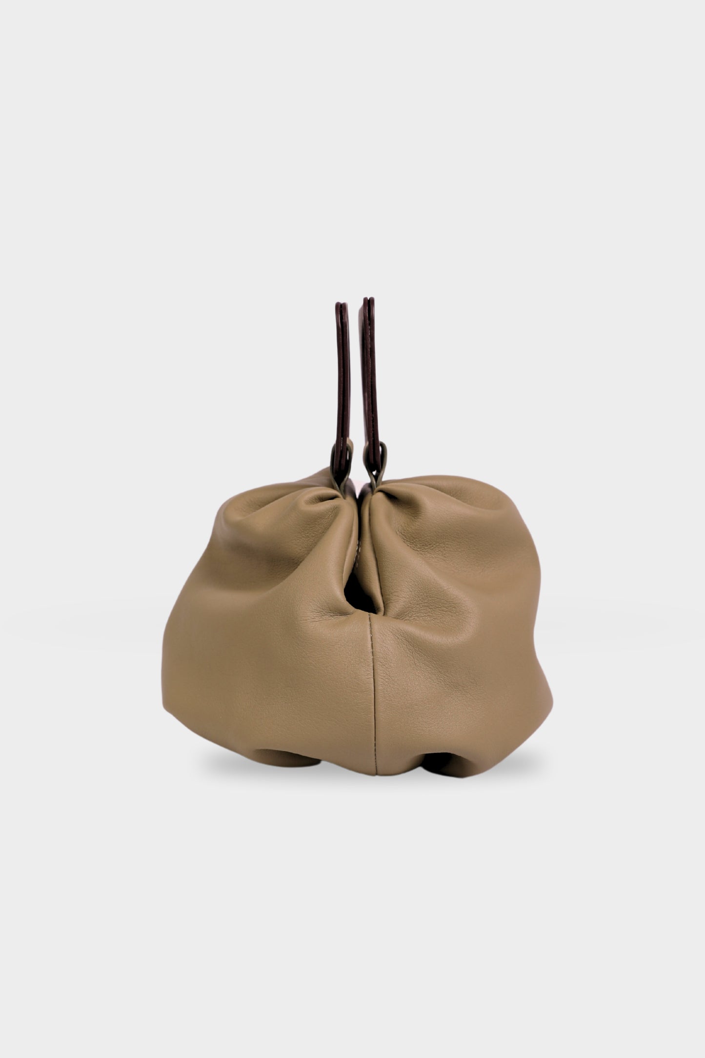 Eucalyptus Dumpling Bag